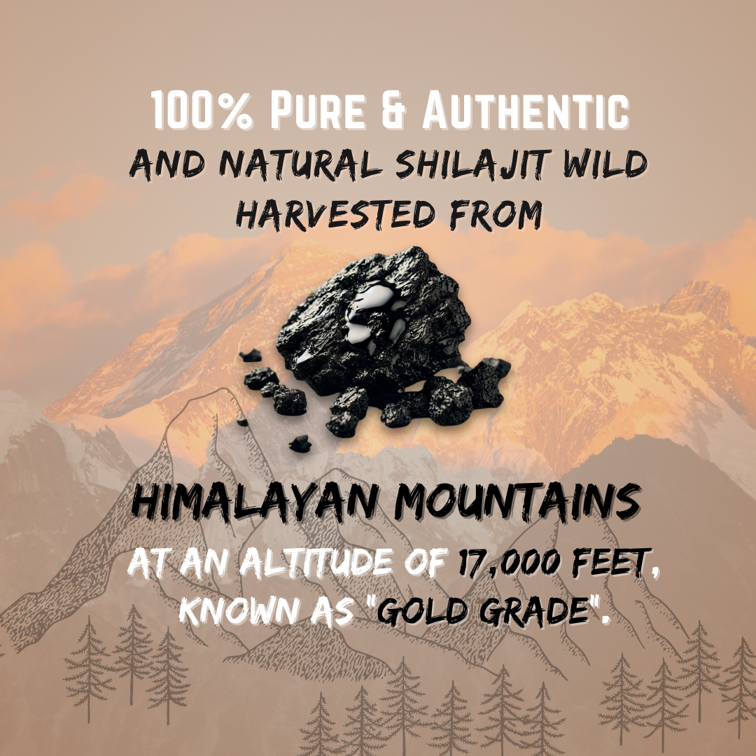 Pure Hunzai Shilajit - 40g