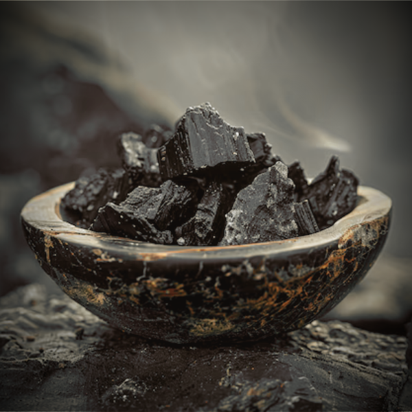 Pure Hunza Shilajit – Nature’s Secret to Energy, Vitality & Wellness
